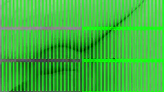 Schwanz und Arsch in freier Wildbahn