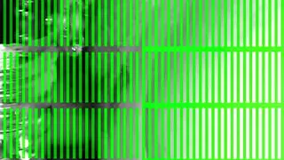 St Paul MN THIiCK hamung virgin hymen