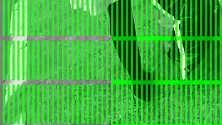 Madura en pantimedias negras