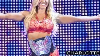 SekushiLover - Rank These Nude WWE Diva Selfies