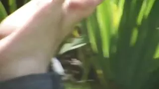 Neighbours stinky feet