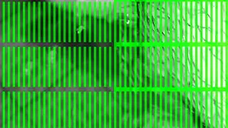 Meinen kleinen Schwanz waschen