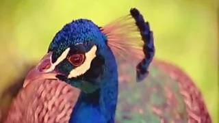 Among The Greatest Porn Films Ever Made 129