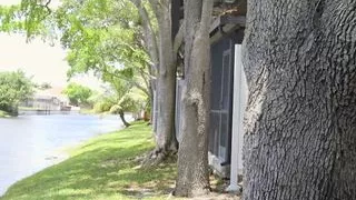 RealityKings - Step Moms Bang Teens - Dillion Harper Jamie Valent