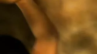 Seduction By Striptease