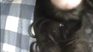 Amazing Brunette Hairjob and Cum in Hair, Long Hair, Hair