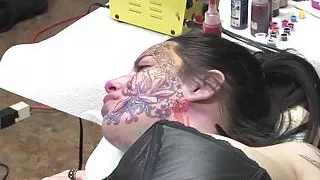 Kitten Face Adding Color