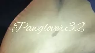 SSBW sucking dick or a ride