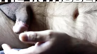 Amateursex, Dicke Girls, Latino, Voyeursex, Webcamsex