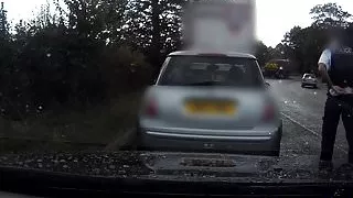 Busty pink hair slut pussyfucks cop in car