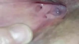 Who Wants A Taste  ?