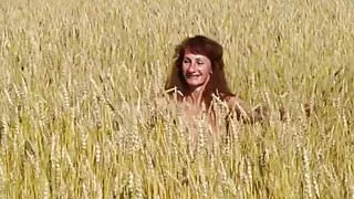 In the field of golden wheat