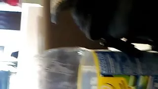 Big Booty Girl Getting Some Drink In McDonalds