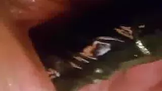 Interracial  blowjob