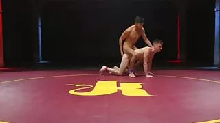 Inked wrestling hunks cocksucking and fucking