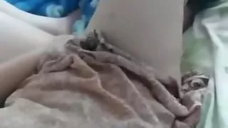 Turkish Bitch Gamze 24.05.2017