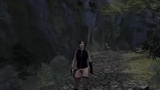Lara Croft perfect PC  bottomless nude patch