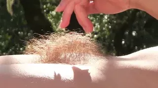 HAIRY PUSSY Compilation