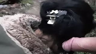 What's happening on the streets