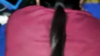 Banging BBW from behind