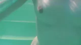 Rusalka die russische heiße Meerjungfrau mit einem schönen Arsch