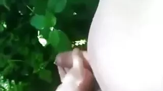 paja entre los arboles