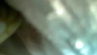 Hotgirls.agency n KK