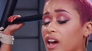 Pink hair ebony babe toys pussy with dildo