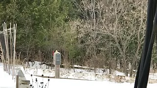 Mailbox Tunnel Plug?