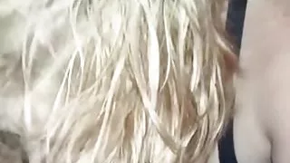 Wifey Sucking My Cock