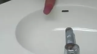 Schwanz gegen das Waschbecken im Hotel reiben