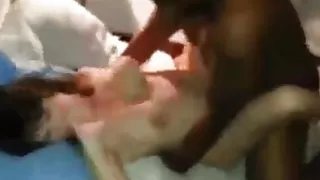 White wife experiences overwhelming orgasm with black bull