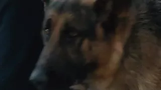 Wei Tang - Lust Caution 2007 Sex Scenes