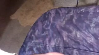 bisex cuckhold couple and a guy