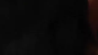 shorthaired finn sucks the jumbo3