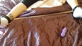 Puppy paws being tickled