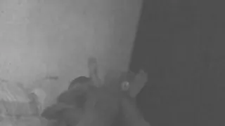 Desi Indian Wife Fucked and Filmed 2