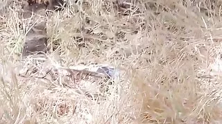 Bromo - Brandon Evans with Jeff Powers at Rednecks Part 2