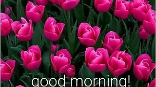 Fuck me hard with yours long dick..