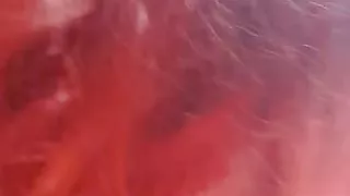 Love bug giving head