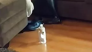 Young hotwife and bbc