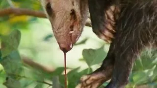 Nicole Kidman Der Papierjunge