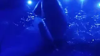 Another jacuzzi bath