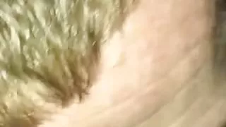 Scottish pussy licked