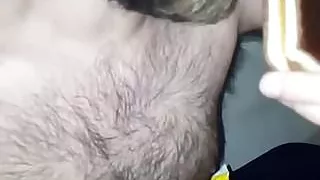 fat pig eats to become immobile