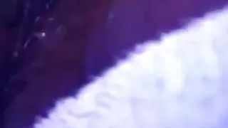 clit play with Satisfyer makes my fat pussy juicy