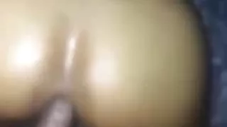 bbc breeds latin transsexual  raw