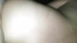 Bull pleaseing wife again