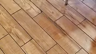 Sexy milf at Denny's