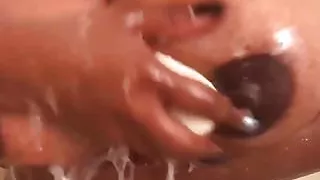 Beautiful brown tits